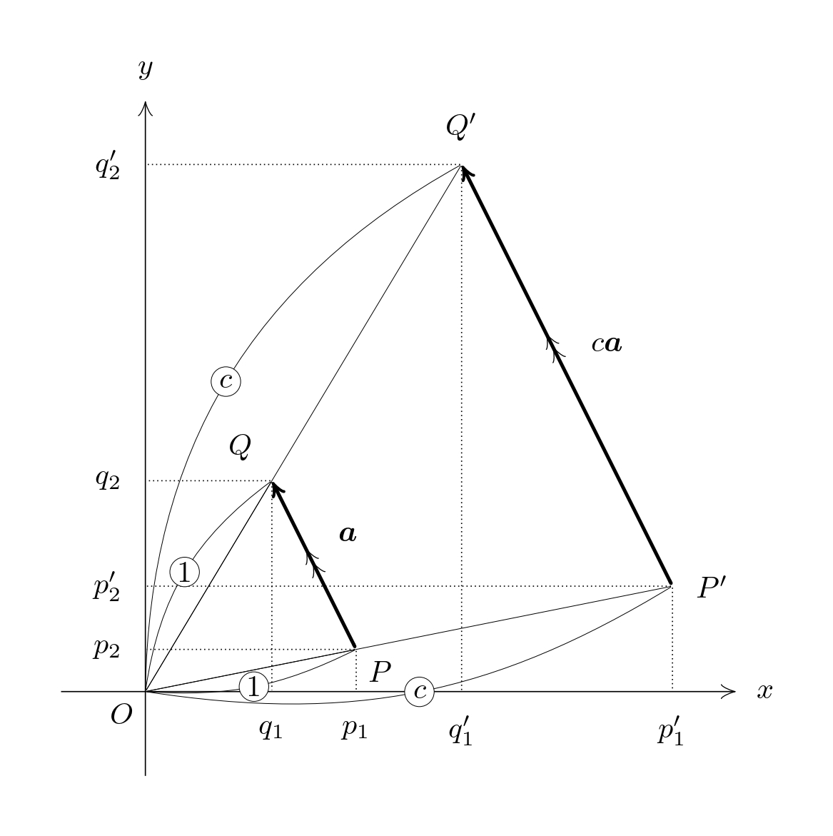 ベクトルの成分のスカラー倍がベクトルのスカラー倍の成分に等しいことの証明・解説図（1）