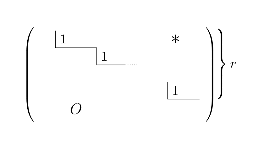 階段行列の主成分を1とした形（簡約階段行列への変形前）